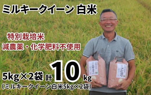 
                  特別栽培米 ミルキークイーン 白米 10kg （5kg×2袋） 令和８年産 2026年産 小分け 単一米 精米  減農薬 化学肥料不使用 埼玉県認証 埼玉県 川島町
                