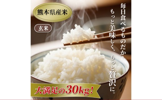 【令和7年産】【玄米】 森のくまさん 玄米30kg（5kg×6袋） 米 お米 ごはん ご飯 常温 熊本県 熊本市