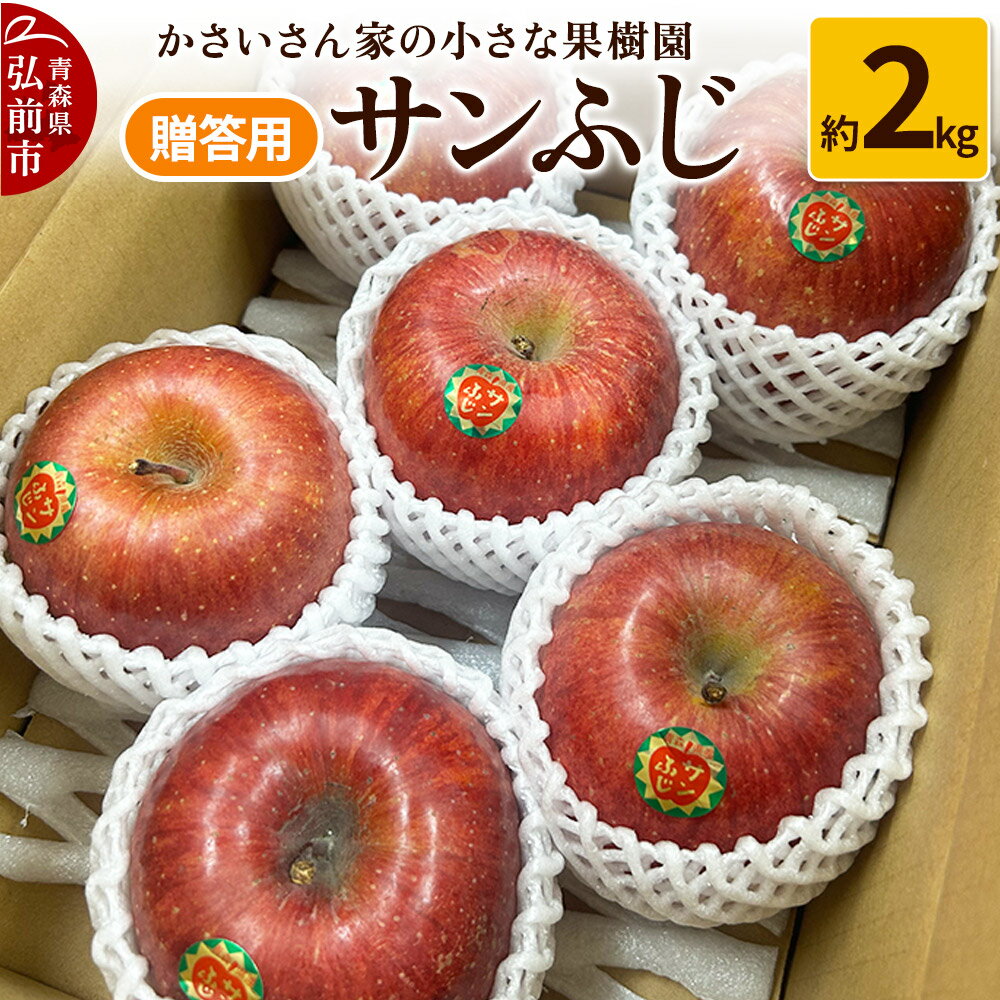 【ふるさと納税】りんご サンふじ 約2kg【贈答用】