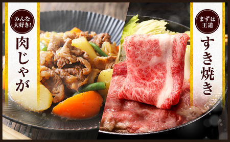 【令和8年8月配送】数量限定 宮崎牛 霜降り スライス 計500g 肉質等級4等級以上 牛肉 黒毛和牛 国産 食品 おかず 最高級 ブランド牛 すき焼き しゃぶしゃぶ 肉じゃが 人気 おすすめ 記念日