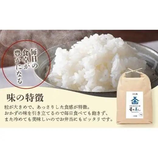 石垣島産 星の美(かい)しゃ 10kg みやぎ米屋 　MK-4 