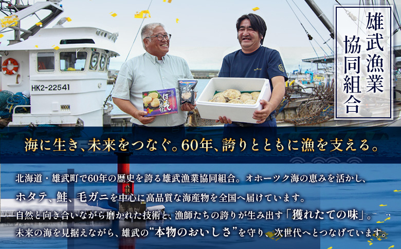 北海道雄武町産ほたて貝柱4S1kg（冷凍）【0711603】