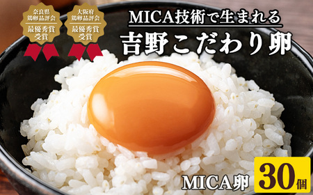 卵 MICA卵 30個 L寸 [BRCI006]