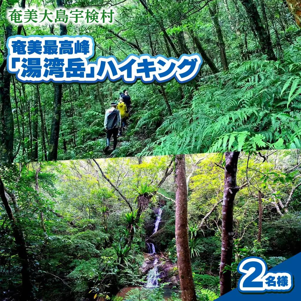 奄美最高峰「湯湾岳」ハイキング 体験 2名様 奄美大島 宇検村 鹿児島県 旅行 自然 冒険 完全プライベート