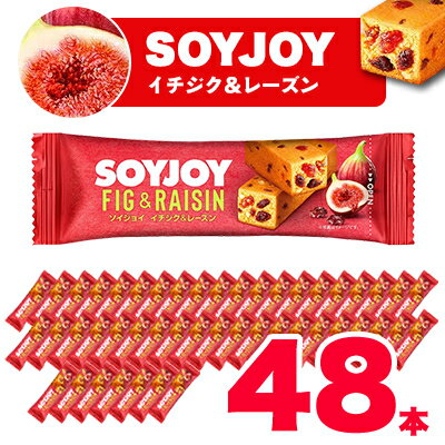 【ふるさと納税】SOYJOY　ソイジョイ　イチジク&レーズン　48本【1490427】