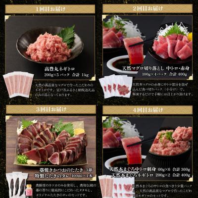 ふるさと納税 室戸市 【贅沢定期便「宮」/全4回】タカシン水産厳選 高知の海鮮セット |  | 02