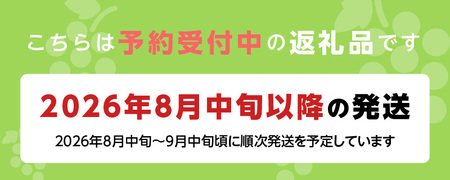 シャインマスカット（1房：500g以上)_シャインマスカット 1房 500g以上 九州 温暖 気候 活かす 農家 こだわり ご家庭用 予約受付 先行予約 皮ごと食べられる 上品 甘さ フルーツ 果実 
