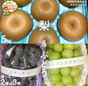 【ふるさと納税】＼ 選べる品種数 ／ 梨5kg と ぶどう 2品種 or 3品種 (各1房) 【8月より発送開始】（茨城県共通返礼品 [梨]：石岡市産　[ぶどう]：かすみがうら市産） 詰め合わせ 果物 フルーツ 茨城県産