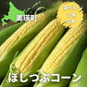 【ふるさと納税】【令和7年産予約受付！】とうもろこし（ほしつぶコーン）12本 20本 野菜　送料無料 北海道 北海道美瑛 北海道美瑛町 美瑛町 美瑛 北海道産 美瑛産 スイートコーン [ 5kg 以上] とうきび 黒木農場