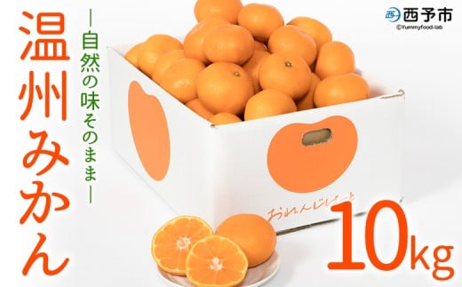 ＜温州みかん 約10kg＞ 柑橘 みかん ミカン 蜜柑 果物 くだもの フルーツ オレンジ うんしゅうみかん 国産 愛媛県産 特産品 おれんじはーと 食べて応援 西宇和 愛媛県 西予市 【常温】『2025年11月中旬～12月中旬迄に順次出荷予定』