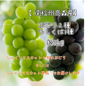 【南信州高森産】シャインマスカットと旬のぶどう(2種or1種)約2kg 2026年9月中旬より発送