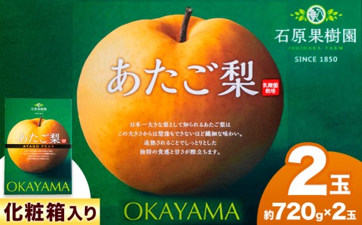 【先行予約】あたご 梨 約720g×2玉 化粧箱 石原果樹園 《11月中旬-12月下旬頃より発送予定》岡山県 浅口市 フルーツ 果物 ギフト 贈り物 国産 岡山県産 送料無料