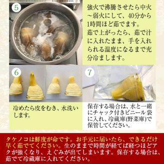 i230 ≪数量限定！先行予約受付中！2026年3月下旬～4月中旬の間に発送≫鹿児島県出水市産！たけのこ＜皮付き2kg＞ たけのこ 筍 タケノコ 国産 皮付き 野菜 旬 新鮮 採りたて 煮物 味噌汁 