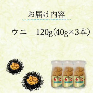 生うに 120g (40g×3本) 牛乳瓶入 冷蔵 ミョウバン不使用 無添加 うに キタムラサキウニ 小分け ウニ丼 うに ウニ 雲丹 寿司 Sea urchin 新鮮 直送 産地直送 生食 生 ごは