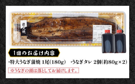 【3回定期便】 国産 うなぎ 本格炭火焼 蒲焼 特大 1尾（180g） /炭火焼古賀 [UDH010] 手焼きうなぎ 特大うなぎ 蒲焼うなぎ うなぎ1尾 うなぎ計3尾 冷凍うなぎ ウナギ 鰻 タレ付き