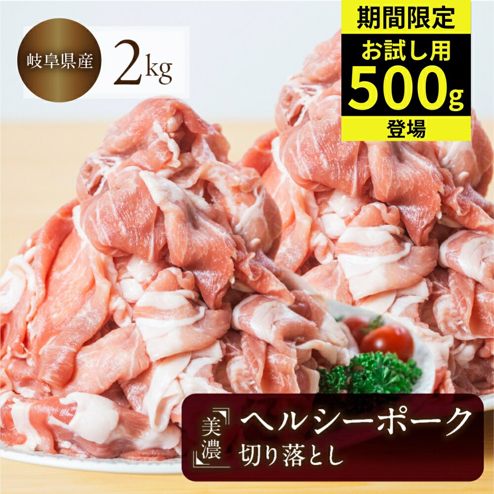 【ふるさと納税】【期間限定】豚肉 切り落とし 500g × 4 計2kg 美濃ヘルシーポーク | 豚肉 肉 小間切れ 小分け ぶた ブタ 切落し きりおとし 冷凍 トキノ屋食品 本巣市 定期便 選べる 回数 [mt1544] 10000円 1万円 30000円 3万円 6万円 12万円 5000円 5千円
