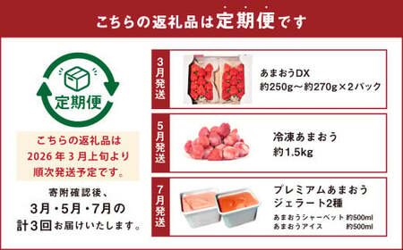 【予約受付・3回定期便】あまおう贅沢セット あまおう いちご 苺 イチゴ フルーツ 果物 くだもの ジェラート【2026年3月上旬～7月下旬発送予定】