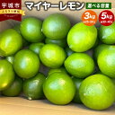 【ふるさと納税】マイヤーレモン 3kg または 5kg ひかる農園 25玉～40玉 レモン 檸檬 フルーツ 果物 くだもの 宇城市産 熊本県産 九州産 国産 送料無料