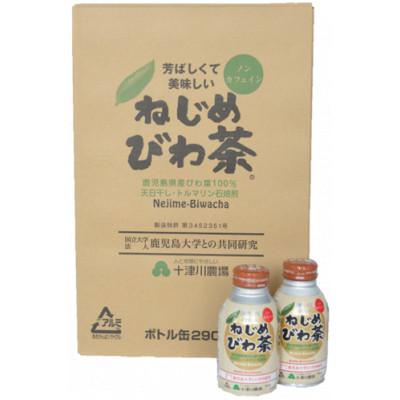 ふるさと納税 南大隅町 ねじめびわ茶　ボトル缶【1ケース】(24本入り)