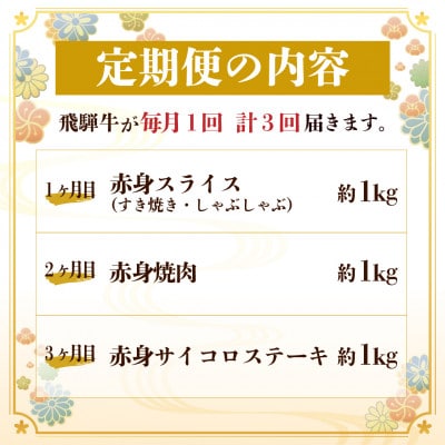 【毎月定期便】飛騨牛 赤身肉定期便 計3kg全3回【配送不可地域：離島】