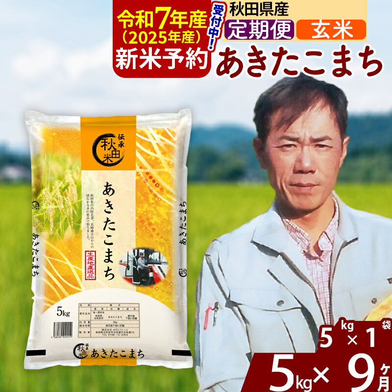 【ふるさと納税】※令和7年産 新米予約※《定期便9ヶ月》秋田県産 あきたこまち 5kg【玄米】(5kg小分け袋) 2025年産 お届け周期調整可能 隔月に調整OK お米 みそらファーム