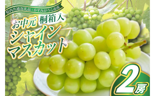 ＜8月より順次発送予定＞お中元 シャインマスカット桐箱入り2房 (県内共通返礼品:かすみがうら市産) (BR106)