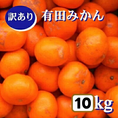【ふるさと納税】 紀州 有田 みかん 訳あり キズ 10kg サイズ混合 家庭用 ※11月下旬〜翌年1月中旬頃に順次発送予定 ※北海道・沖縄・離島配送不可 / 温州みかん 甘い 柑橘 果物 和歌山 //mandarin