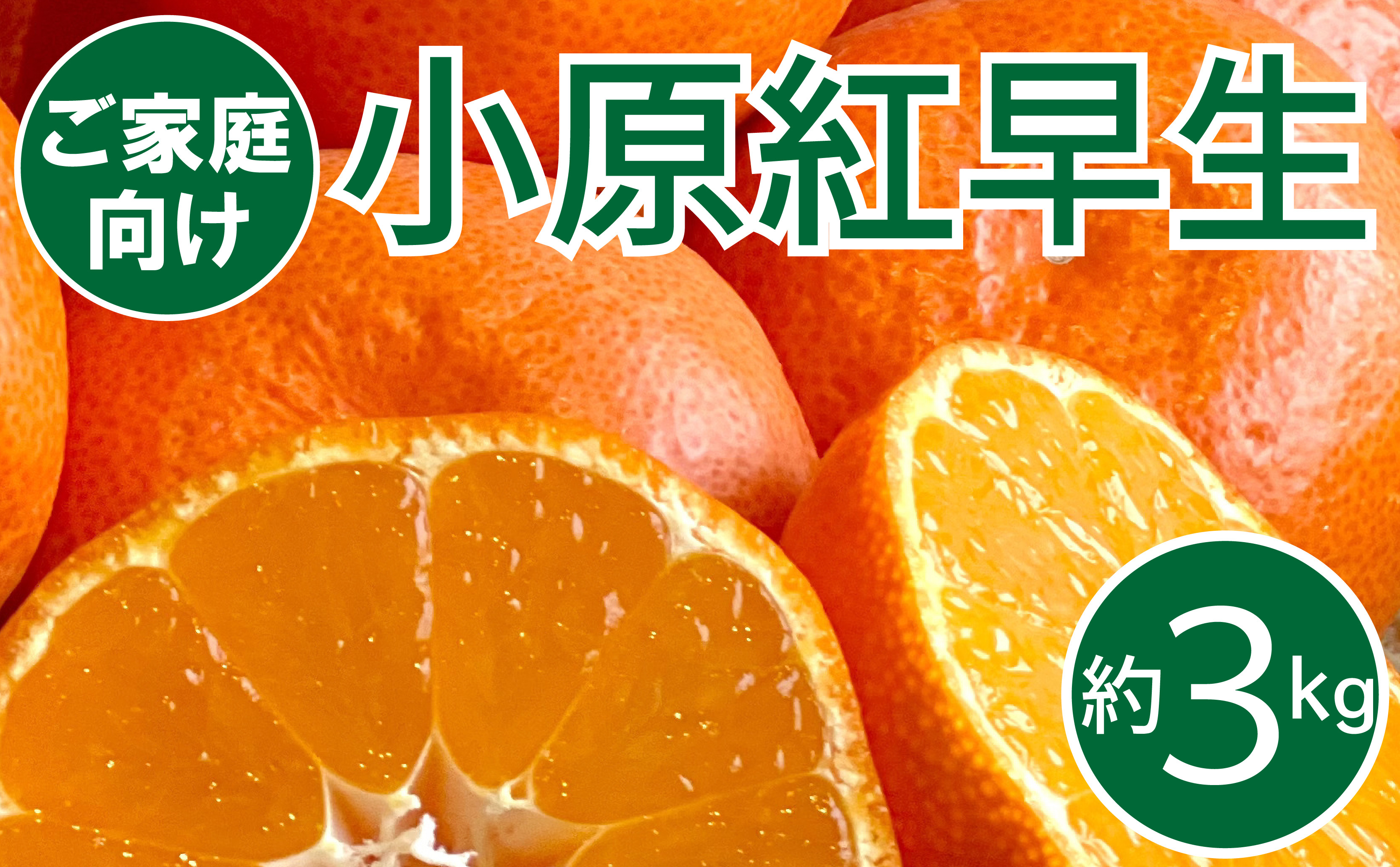
            ご家庭向け！真っ赤なお蜜柑「小原紅早生」　約３kg
          