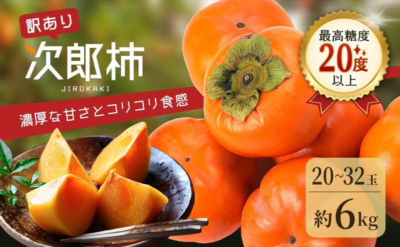 訳あり 長生き次郎柿「長寿郎（ちょうじゅろう）」2L～Mサイズ 5kg 20～28玉入り 12月発送 柿 かき 果物 くだもの フルーツ 次郎柿 静岡 静岡県 訳アリ 浜松市【配送不可：離島】