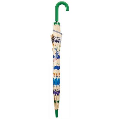 ふるさと納税 奈良市 キッズ ジャンプ傘 55cm 【ディノサウルス(恐竜)】 634321 |  | 01