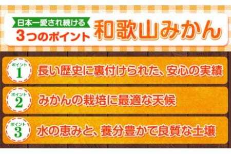【訳あり/サイズ不選別】 和歌山みかん 約10kg 和歌山県産 《2025年11月中旬-1月中旬頃出荷》みかん