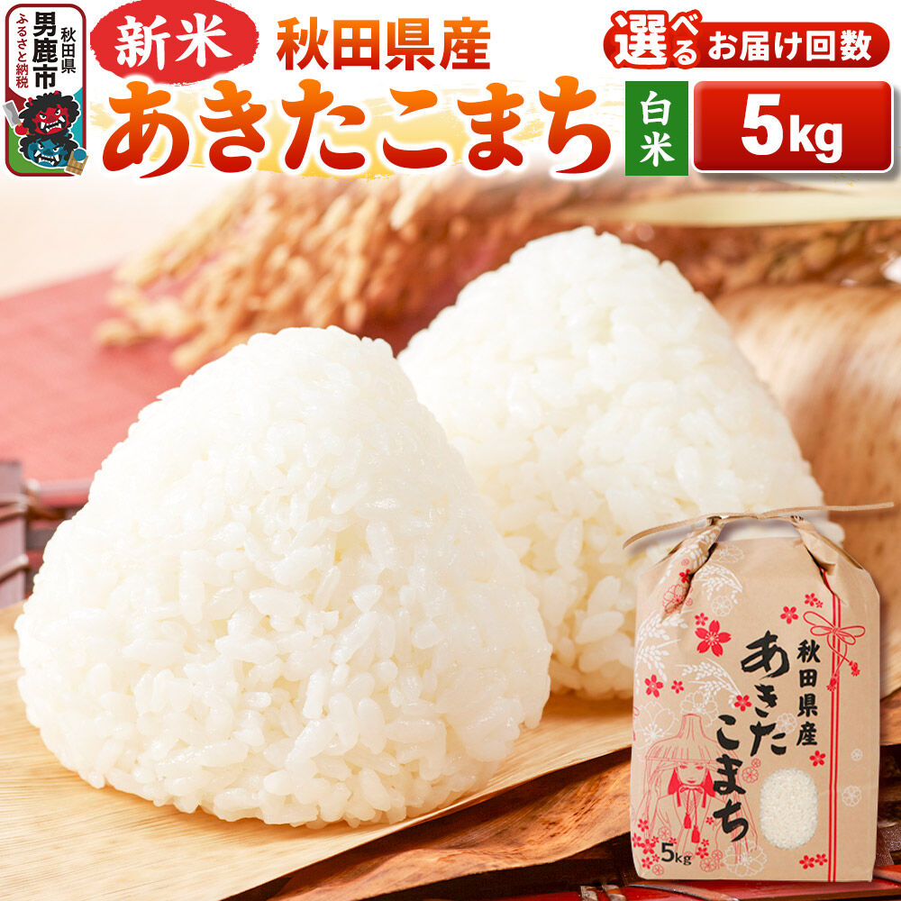 【ふるさと納税】《新米》【白米】 あきたこまち 5kg 秋田県 男鹿市 こまちライン【選べるお届け回数】《令和8年産》 [こまちライン あきたこまち お米 白米 精米 米どころ 秋田 秋田県産 新米]