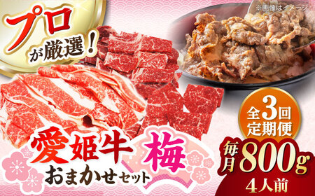 【全3回】 牛肉 定期便 店主におまかせ旬セット【梅】[AGCC055] 牛肉 定期便 牛肉 定期便 牛肉 定期便 
