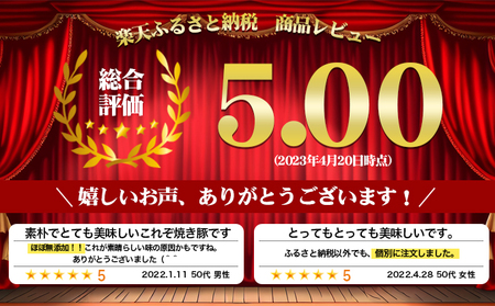 焼き豚P国産スライス焼豚130g×7