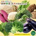 【ふるさと納税】紀南の採れたて新鮮野菜・お米詰め合わせセット（8〜12品目詰め合わせ）