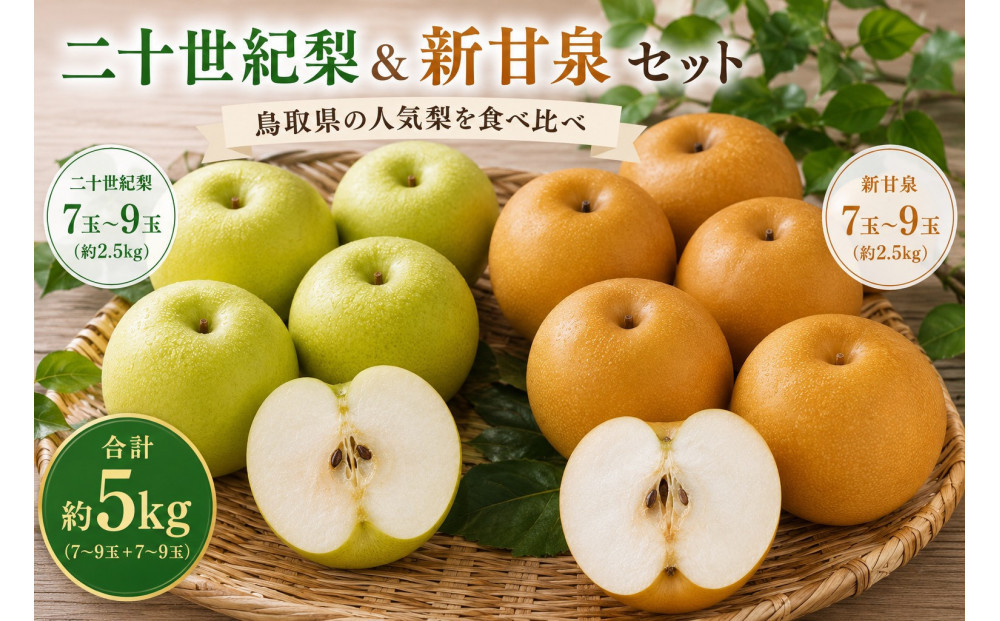 【食べ比べセット】鳥取県産 二十世紀梨 新甘泉 約5キロ【鳥取県 境港市】