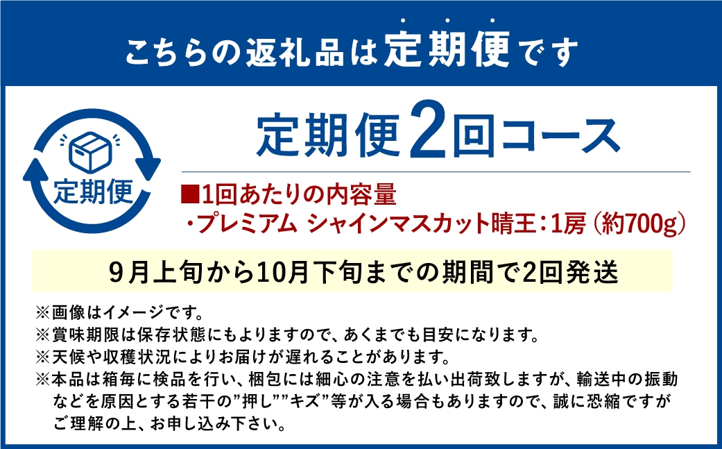 【2回定期便】プレミアム シャインマスカット 晴王 1房 約700g