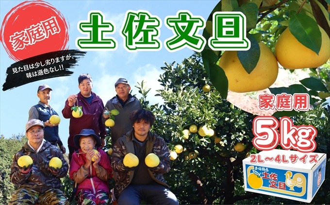 香る！さっぱり！岡林さんの土佐文旦　家庭用5kg