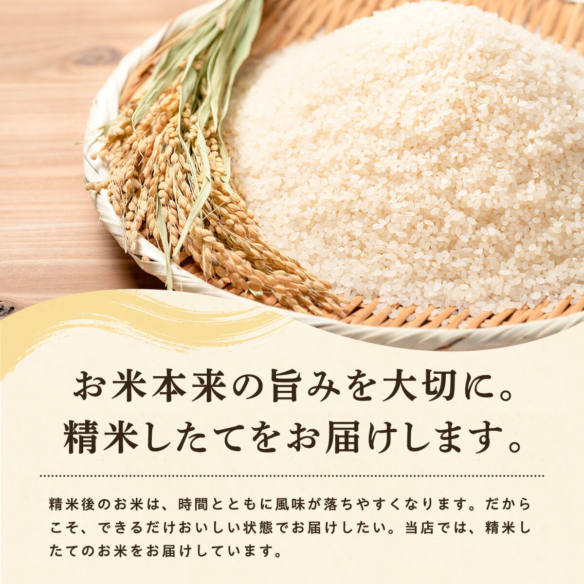 令和8年産 あきたこまち 白米 10kg 秋田県産 米 一等米 ブランド米 10キロ 精米 精米したて 一人暮らし 秋田 能代 能代市 送料無料 《こまちライン》