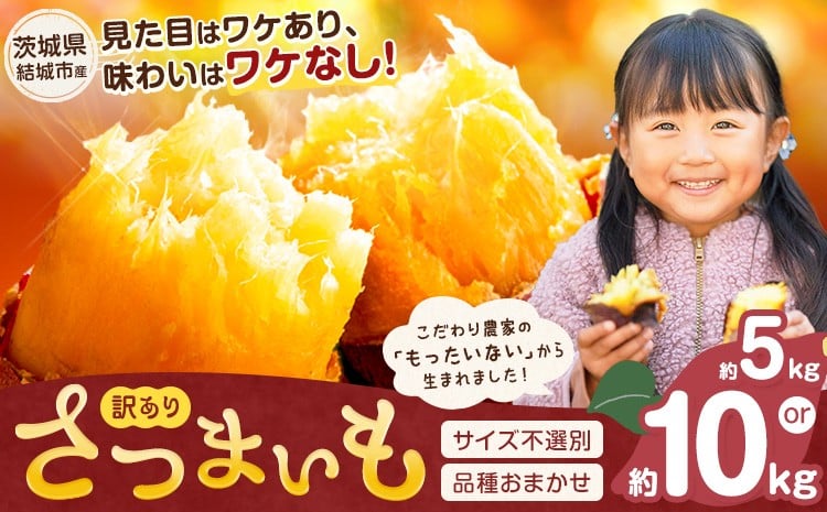 
            茨城県産 さつまいも こだわり農家の訳ありさつまいも 茨城県結城市産 サイズ不選別 品種おまかせ 選べる 約5kg 約10kg 《1月上旬-3月上旬頃出荷》茨城県 結城市 ご家庭用 お芋 訳あり 紅はるか シルクスイート あまはずき 栗かぐや 品種 お任せ いも 芋
          