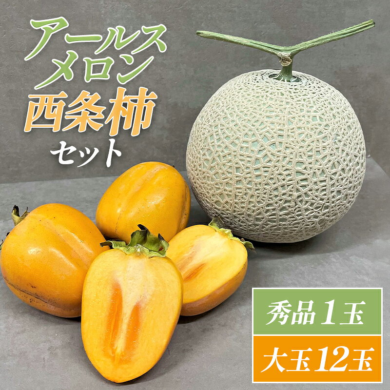 【ふるさと納税】 先行予約 アールスメロン 秀品 1玉 2L 西条柿 12玉 3L 果物 フルーツ メロン 糖度14度以上 かき 大玉サイズ 季節限定 期間限定 早期予約 10月中旬〜11月上旬発送 特産品 お取り寄せ グルメ