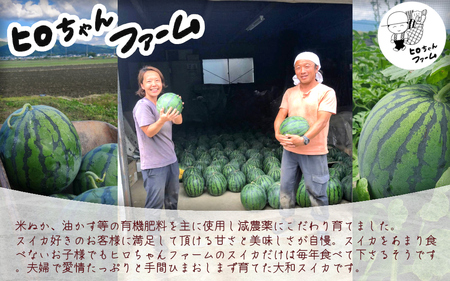 大和スイカ「祭りばやし」【2026年7月初旬～7月下旬ごろ発送予定】 ／ ヒロちゃんファーム 西瓜 スイカ すいか 果物 フルーツ デザート  奈良県 田原本町