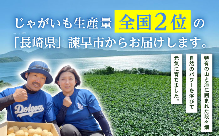 じゃがいも アイユタカ 10kg (S～2Lサイズ/約50～60個) / じゃがいも ジャガイモ ポテト 九州 あいゆたか アイユタカ 野菜 やさい / 諫早市 / スマイルファーム　 [AHFG00
