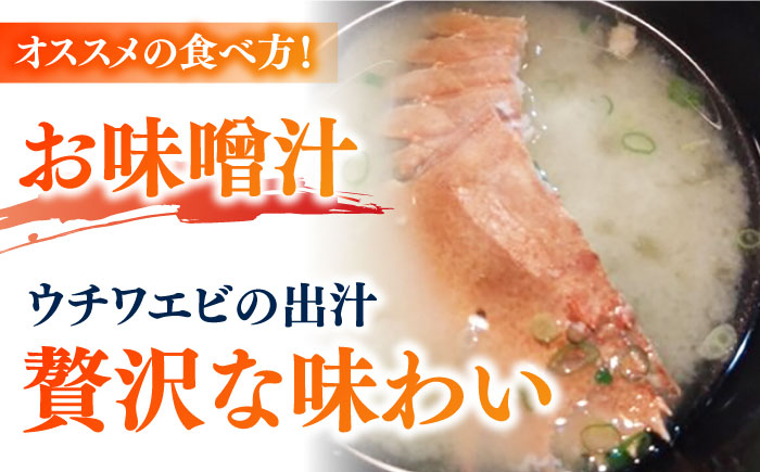 【2025年先行予約】【プリプリ食感と旨み】希少 うちわえび 約500g (3-9尾) ウチワエビ うちわエビ 海老 カニ 五島市/五島FF [PBJ011]