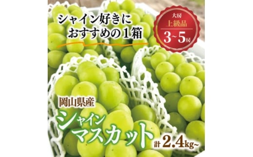 ＜きよとうファーム＞シャインマスカット 上級品 大3-5房/計2.4kg~(岡山県産)_シャインマスカット マスカット ぶどう 葡萄 ブドウ 甘い 果物 くだもの フルーツ 岡山県 津山市 ギフト プレゼント 産直 送料無料【1548983】