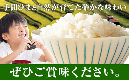 【先行予約】棚田米 無洗米 10kg 米
