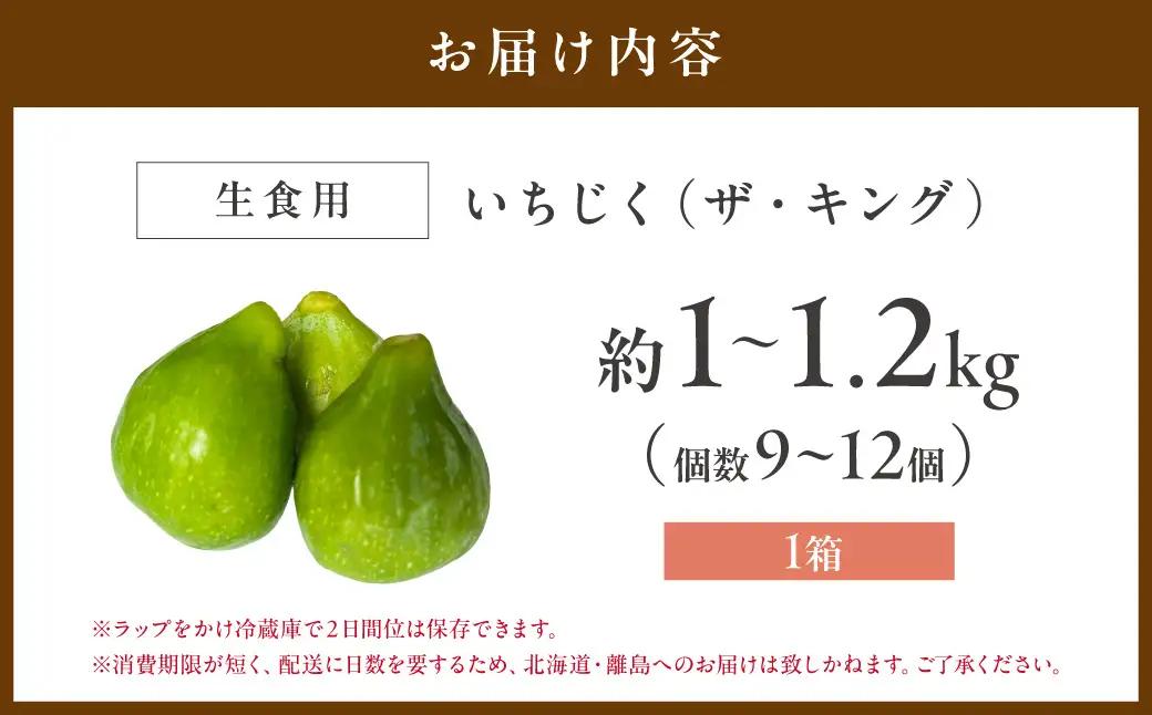 【先行予約】夏いちじく（キング）6月中旬～7月上旬発送予定 1kg~1.2kg【113_2057】
