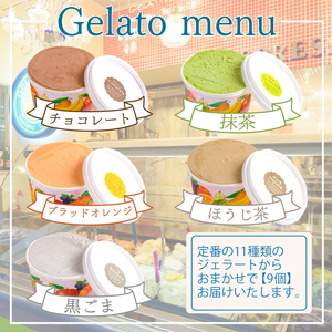 ジェラート 12個 セット おまかせジェラート KE001-3
