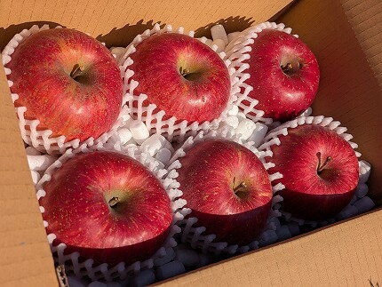 【ふるさと納税】担当者おすすめ「味覚の里なかがわ」の旬のくだもの（サンふじ6玉 2Kg弱 りんご 訳あり 不揃い バラ詰め 食べきり フルーツ）