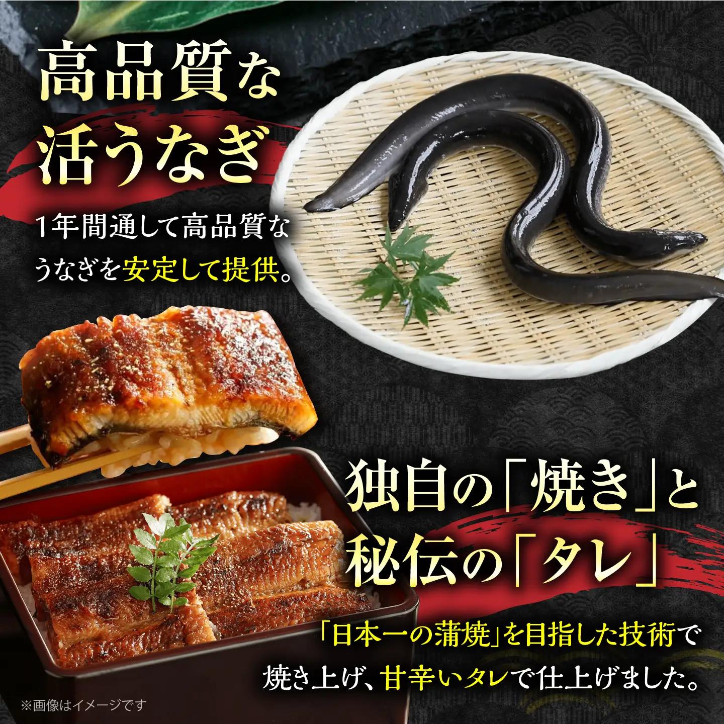 うなぎ 蒲焼大1尾 うなぎ 国産 VAD036